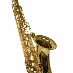 Sax Tenor New York NY TS200 Laqueado - Plander