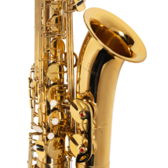 Sax Tenor Michael Sib WTSM30N Laqueado - loja online