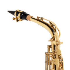 Sax Alto Michael WASM30N Laqueado - comprar online