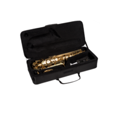 Sax Alto Vogga VSAS701N Laqueado - comprar online