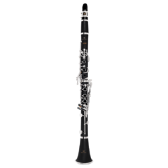 Clarinete Sib Michael WCLM40N Fosco Chaves Prateadas