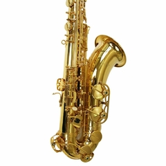 Sax Tenor New York NY TS200 Laqueado na internet