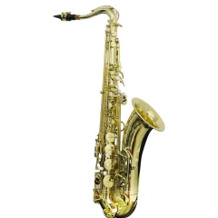 Sax Tenor New York NY TS200 Laqueado