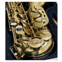 Sax Alto Custom Laqueado - Usado - loja online