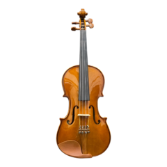 Violino 4/4 Eagle VE441 Classic Series Ajustado - Usado - comprar online