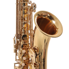 Sax Tenor Zellmer ZTS-600L Laqueado - Afinação Bb (Sib) - comprar online