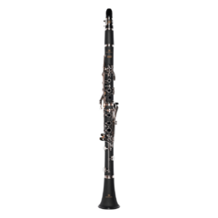 Clarinete Sib Michael WCLM30N Fosco Chaves Niqueladas