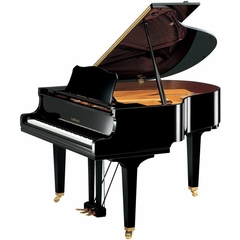 Piano 1/4 De Cauda Yamaha GC1-PE 161cm Preto