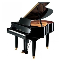 Piano 1/4 Disklavier Yamaha DGB1 ENST-PE Preto