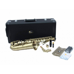 Sax Alto Eagle SA500VG Escovado Envelhecido na internet