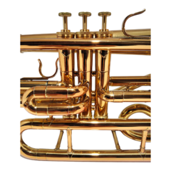 Trombonito Sib Solpac TM10 Laqueado Bronze - Saldo - loja online