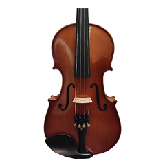 Violino 4/4 Eagle VE144 Master Series - Ajustado na internet