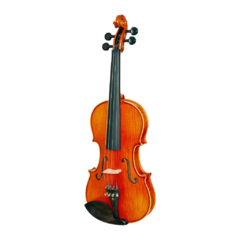 Violino 4/4 Eagle VE145 Classic Series - Ajustado - comprar online