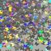 Glitter Borboleta Prata Holográfica