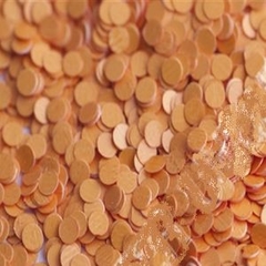 Glitter Redondo Laranja