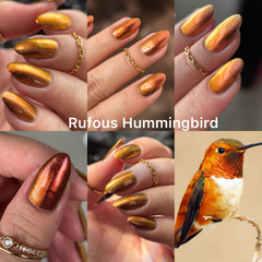 Rufous Hummingbird (Phoenix) - comprar online