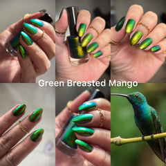 Green Breasted Mango (Phoenix) - comprar online