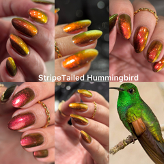 Stripe Talled Hummingbird (Phoenix) - comprar online