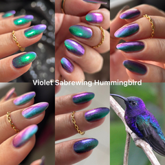 Violet Sabrewing Hummingbird (Phoenix) - comprar online