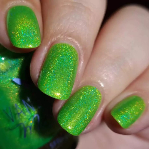 Mojito Holo (Vanessa Molina)