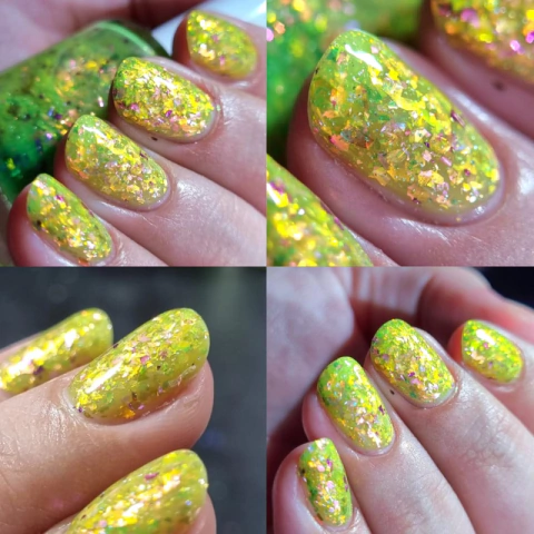 Viva La Vida (Vanessa Molina)