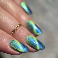 Earth (Phoenix) na internet