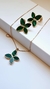 Conjunto Borboleta Roma