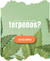 Imagem do banner rotativo Drim | Autocuidado com Algo a Mais