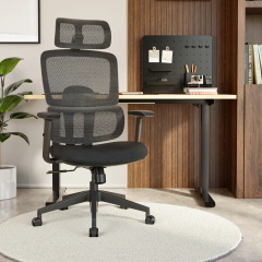 Silla Ergonómica Daily en internet