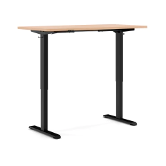 Standing Desk Standard - INPRO