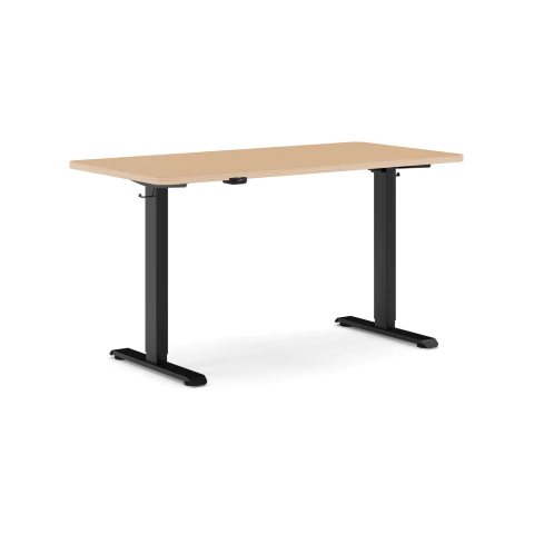 Standing Desk Standard - comprar online