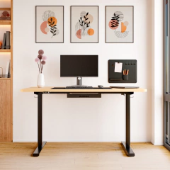 Standing Desk Standard en internet