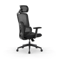 Silla Ergonómica Daily en internet