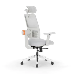 Silla Ergonómica Plus - comprar online
