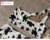 MOLDE REF 0194 TOP ALÇA DUPLA UM OMBRO IMPRESSO ENVIADO CORREIO - comprar online