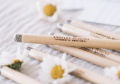 25 Lapices plantables grabados