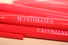 Lapiceras estampadas x 100 U. - comprar online