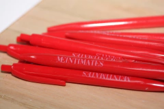 Lapiceras estampadas x 100 U. - tienda online