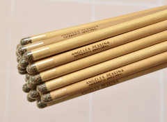 25 Lapices plantables grabados - comprar online