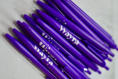 Lapiceras estampadas x 100 U. - Imagine Soluciones Graficas