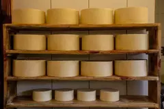 Kit degustação 4 queijos 900G - loja online