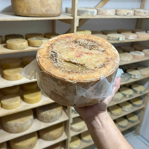 Queijo PARMESÃO de Alagoa maturado 1 ANO