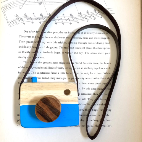 Câmera Fotográfica