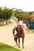 Imagem do Jade (longo)