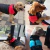 Casaco Para Cães de Estimação Preto/Vermelho 36cm x25cm - comprar online