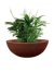 Bacia Grafiato Para Plantas E Decoração 26cm x 12cm