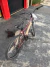 Bicicleta Caloi Rouge, Aro 26, 21 Marchas, Suspensão, Freio VBrake, Vinho (Outlet) Esta Pré-montada na internet