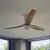 Ventilador Amazonas - tienda online
