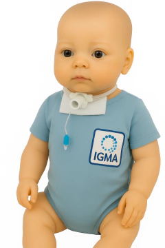 Con balón Cánula traqueal en internet