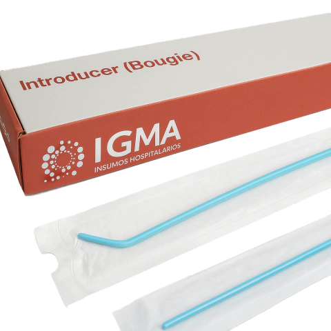 Adulto GUIA DE ESCHMANN Bougie - comprar online